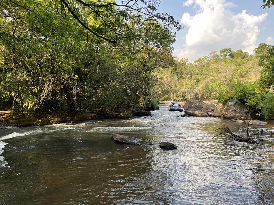 Rio entre a mata nos corredores turísticos