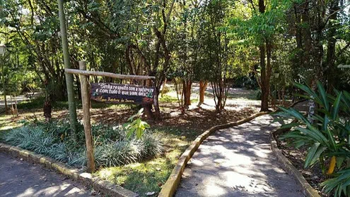 Trilha no Horto Municipal