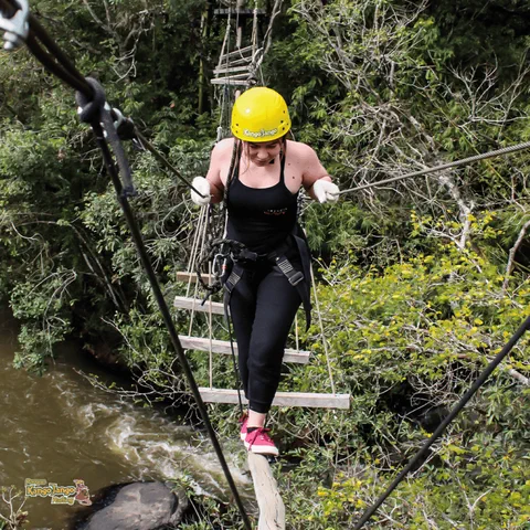 Arvorismo com ponte suspensa